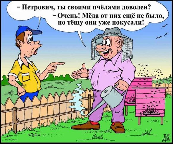 Пчеловод стих прикольный Пчеловод стих прикольный
